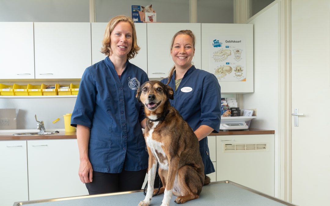 Dierenartsencentrum West Oostburg